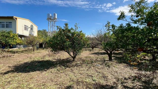 苗栗頭份農地-13
