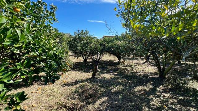 苗栗頭份農地-9