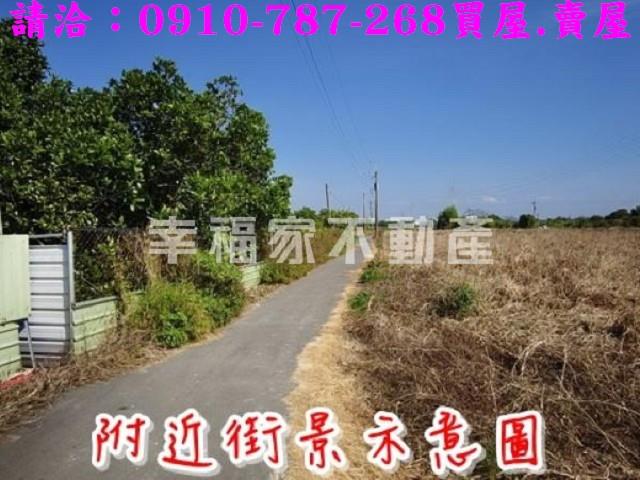 台南新市農地-13