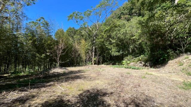 新竹尖石農地-7