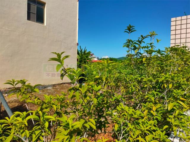 高雄內門建地-4