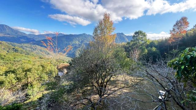 新竹尖石農地-10