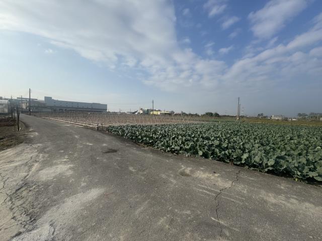 高雄路竹農地-11