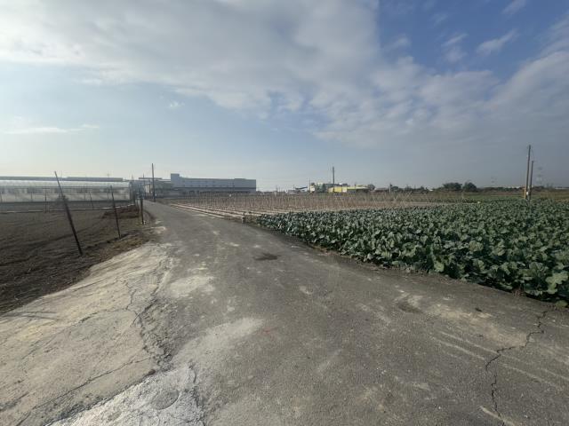 高雄路竹農地-3