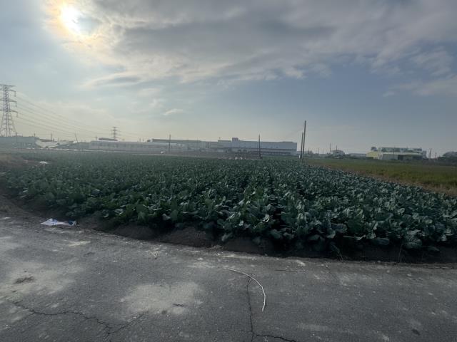 高雄路竹農地-5