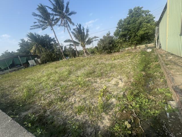 高雄路竹農地-8