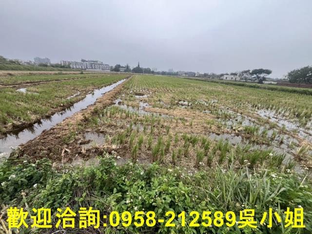湖口農地-3
