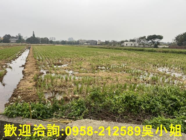 湖口農地-6
