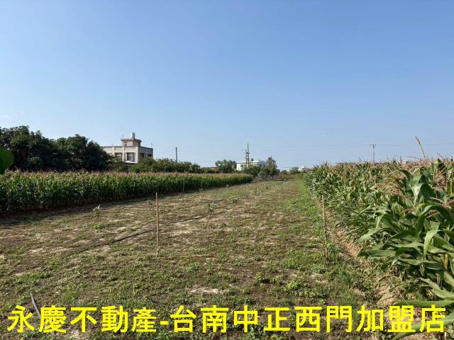鹽水農地-2