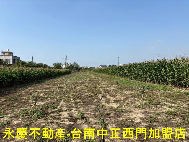 鹽水農地-7