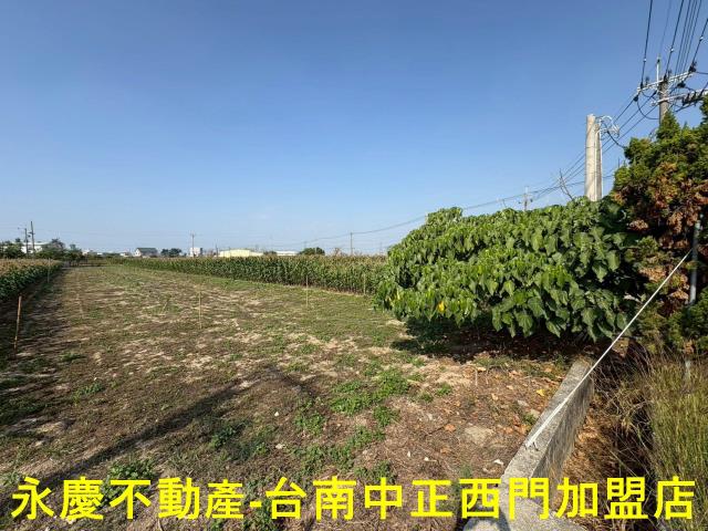 鹽水農地-8