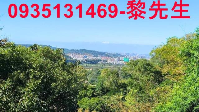 新竹橫山林地-7