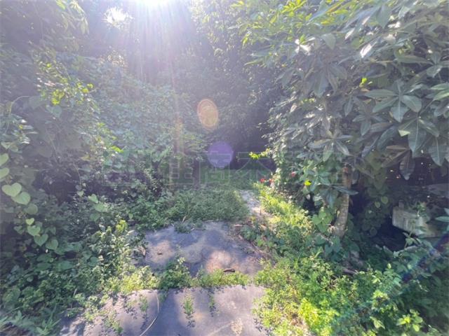 高雄內門農地-10