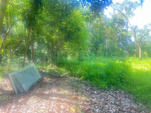 高雄內門農地-2