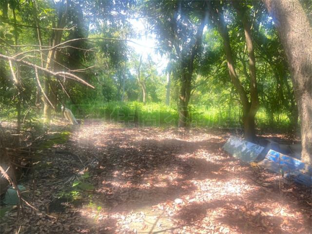 高雄內門農地-4