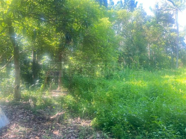 高雄內門農地-9