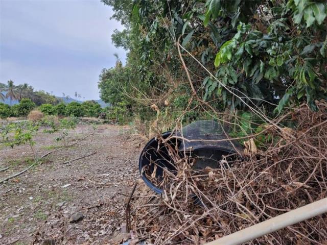 高雄六龜農地-5