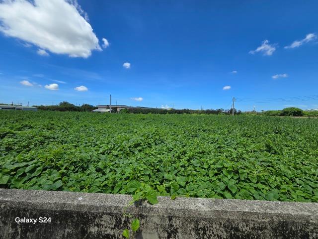 高雄農地-5