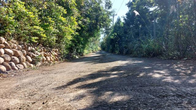 新竹新埔農地-14