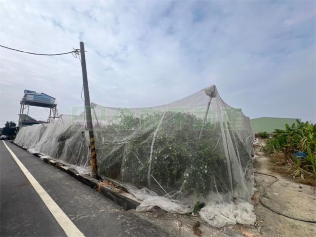 高雄岡山農地-2