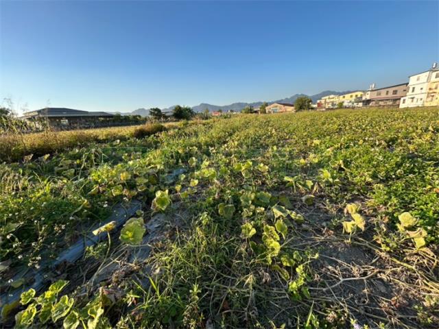 高雄美濃農地-3