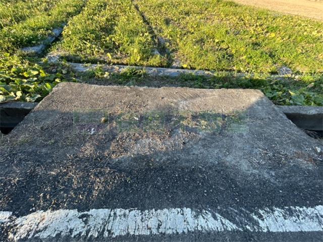 高雄美濃農地-6