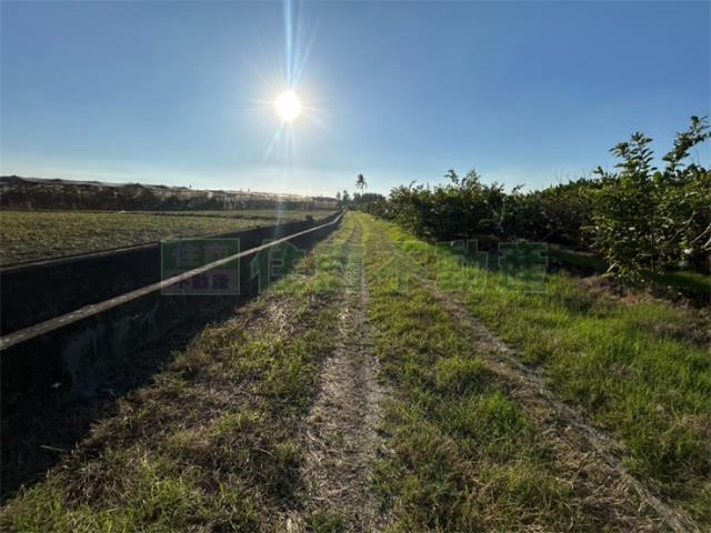 高雄美濃農地-3