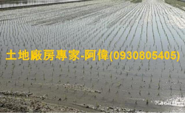 高雄大寮農地-1