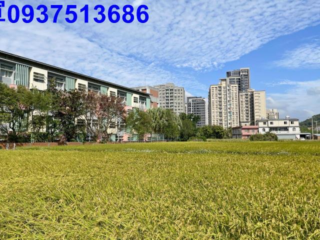 新竹竹北農地-3