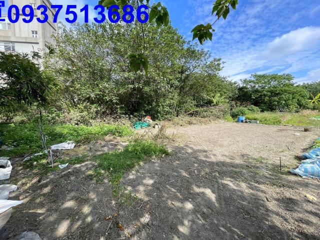 新竹竹北農地-8