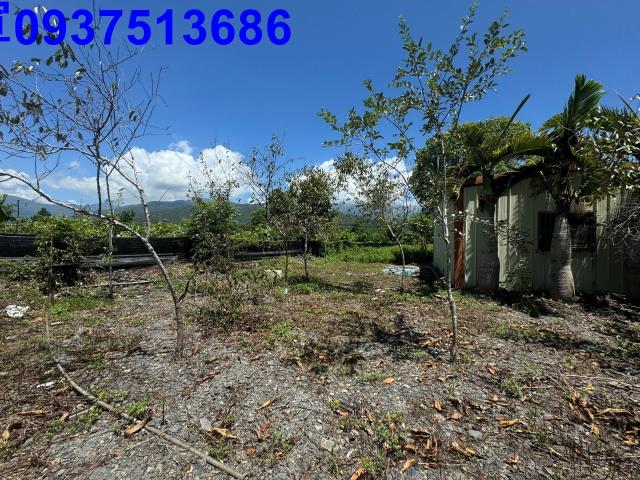 宜蘭礁溪農地-13