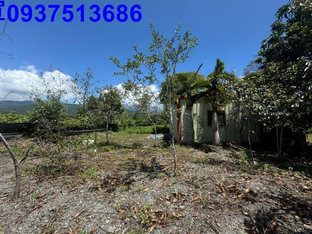 宜蘭礁溪農地-15