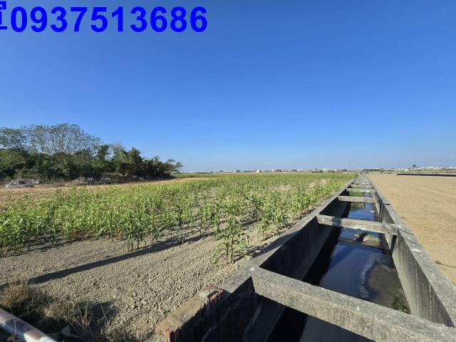 嘉義新港農地-6