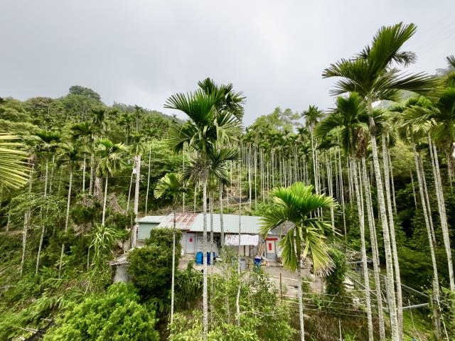 南投草屯農地-3