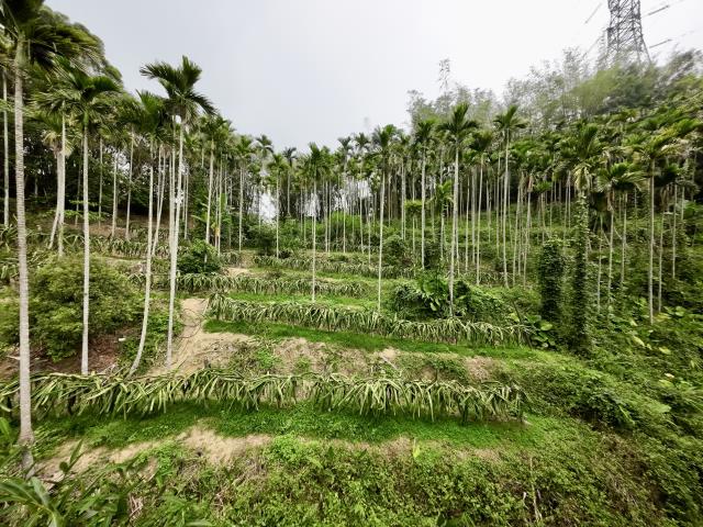 南投草屯農地-4