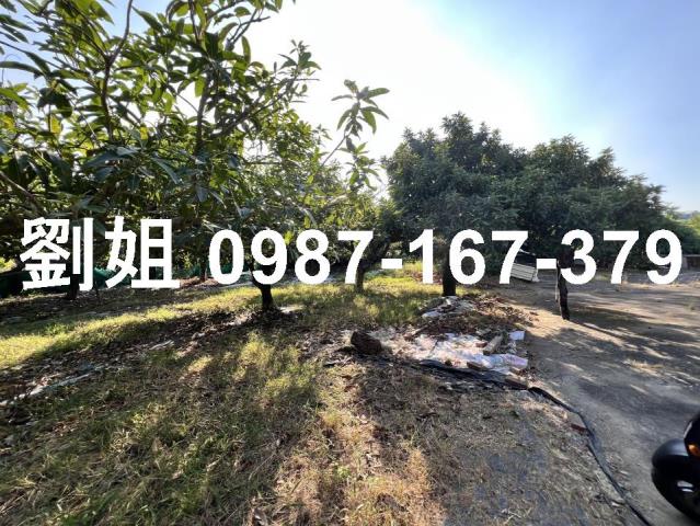 高雄鳥松農地-2