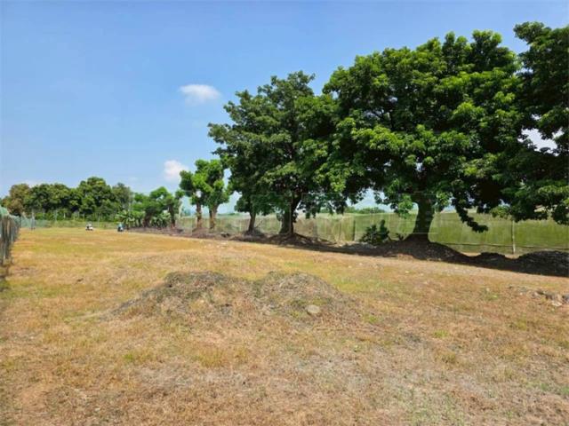 屏東高樹農地-13