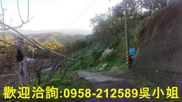 新竹新埔山坡地-7