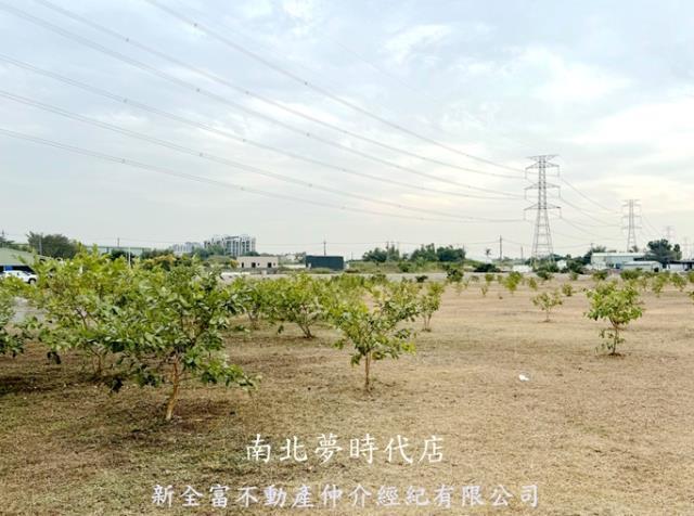 高雄湖內農地-2