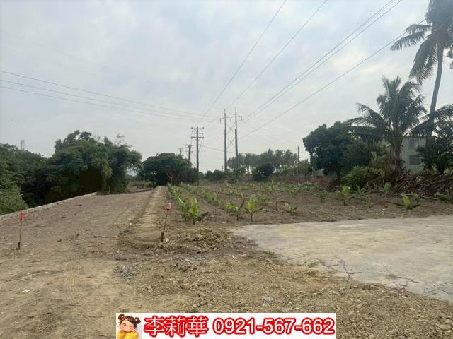 高雄路竹農地-5