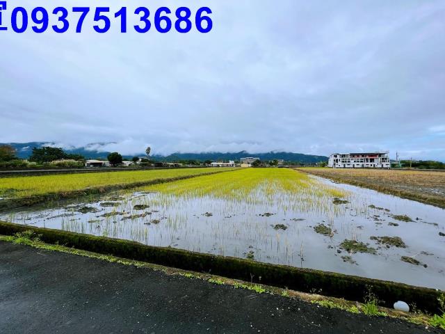 宜蘭三星農地-10