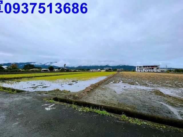 宜蘭三星農地-7