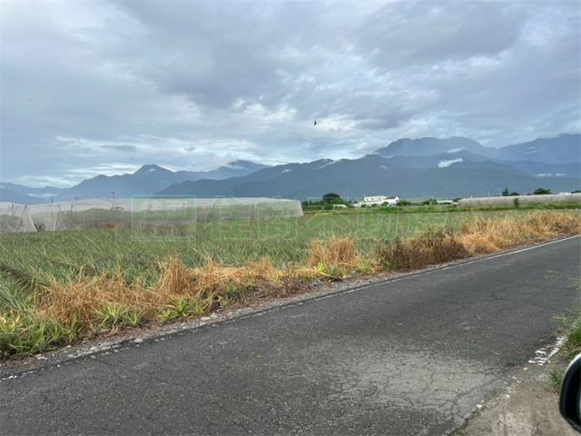 屏東農地-1