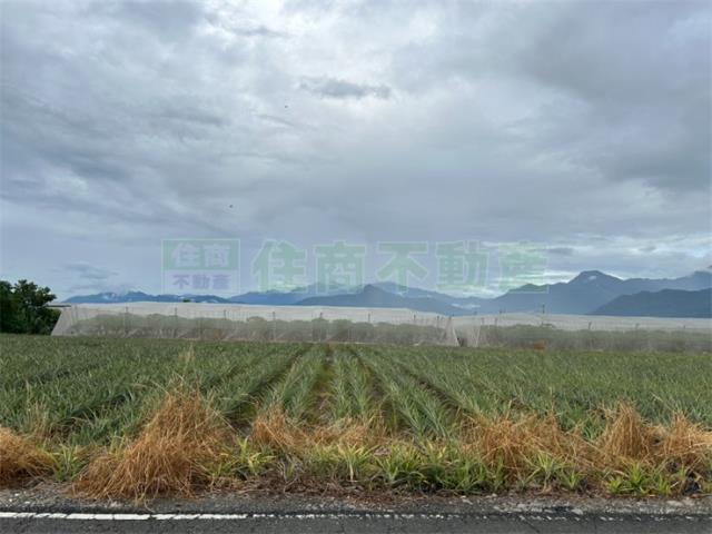 屏東農地-4