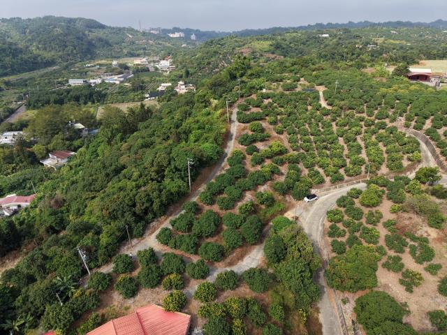 高雄大樹農地-1