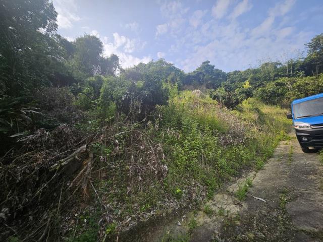 高雄大樹農地-2