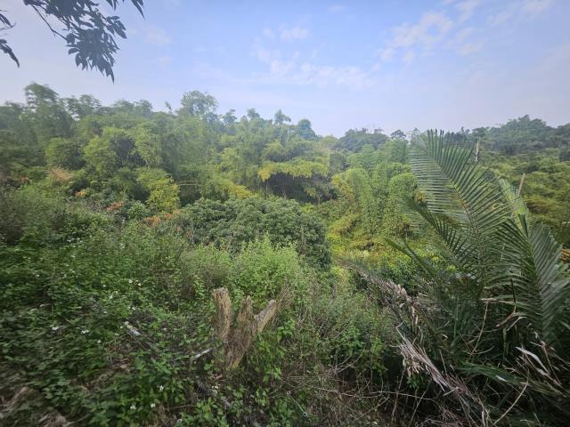 高雄大樹農地-7