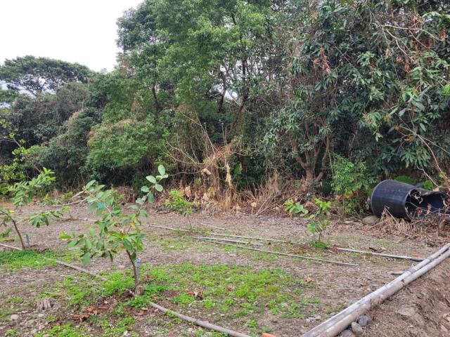 高雄六龜農地-3