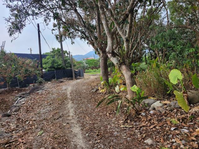 高雄六龜農地-7