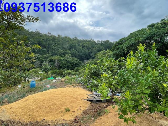 宜蘭員山農地-7